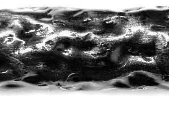 Кованая труба Арт. Труба кованая д=57мм