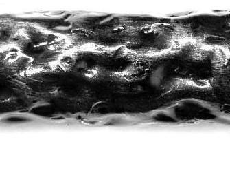 Кованая труба Арт. Труба кованая д=32мм