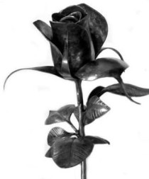 Роза в сборе Арт. 2110
