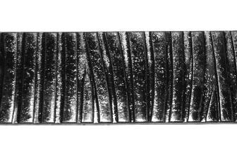 Полоса Арт. 40411П